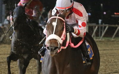 Spring Lass springs upset for Armstrong’s two-horse stable