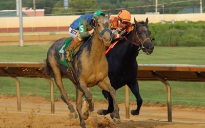WVBC contenders coming into focus
