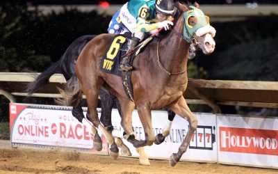 Big night for broodmare Miss Henny Penny