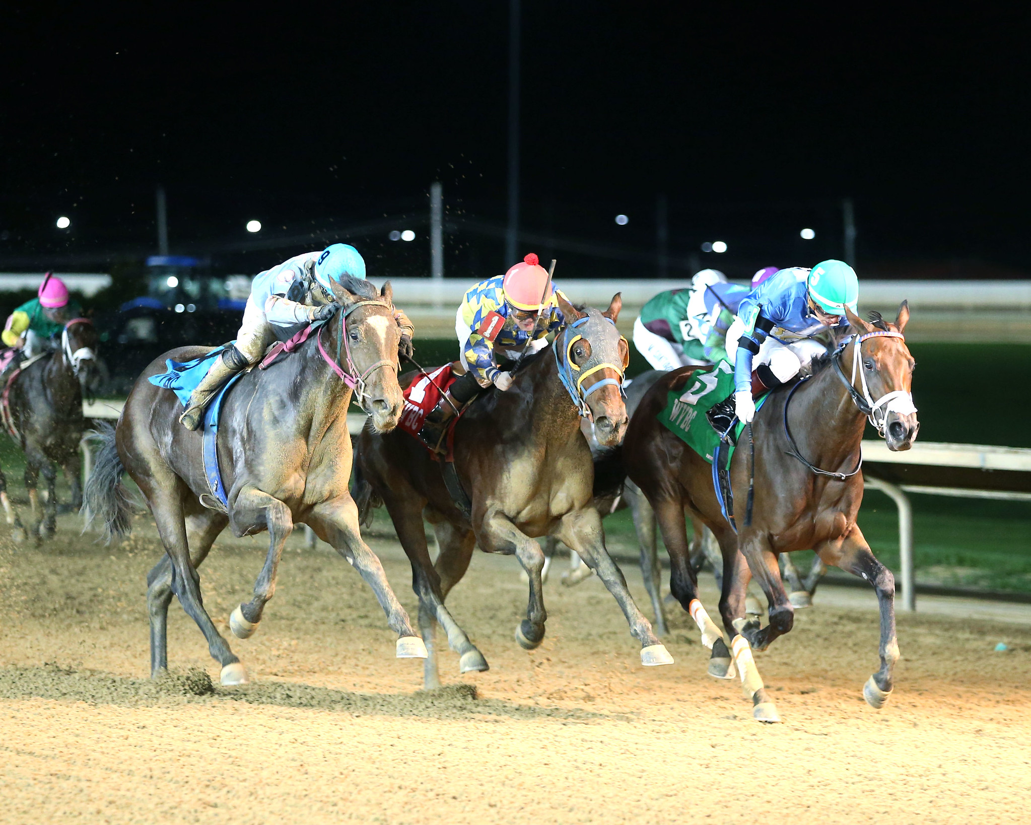 “Future of WV-bred racing” on display