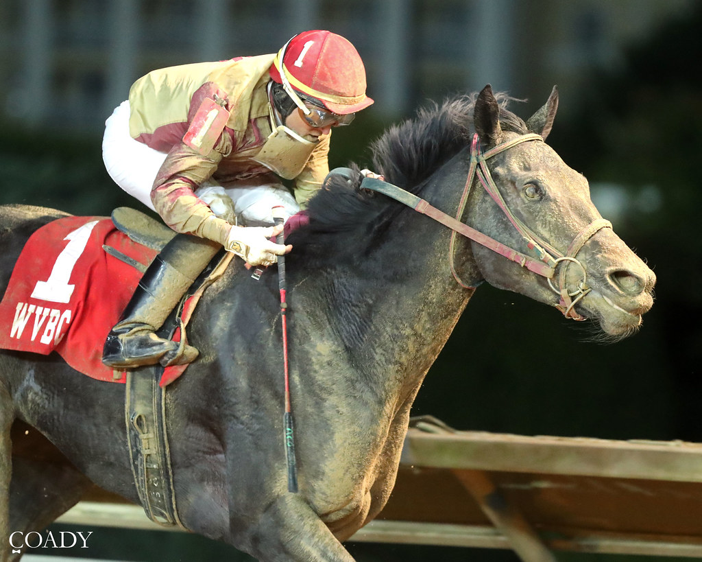 Petty Perfect dominant in Cavada
