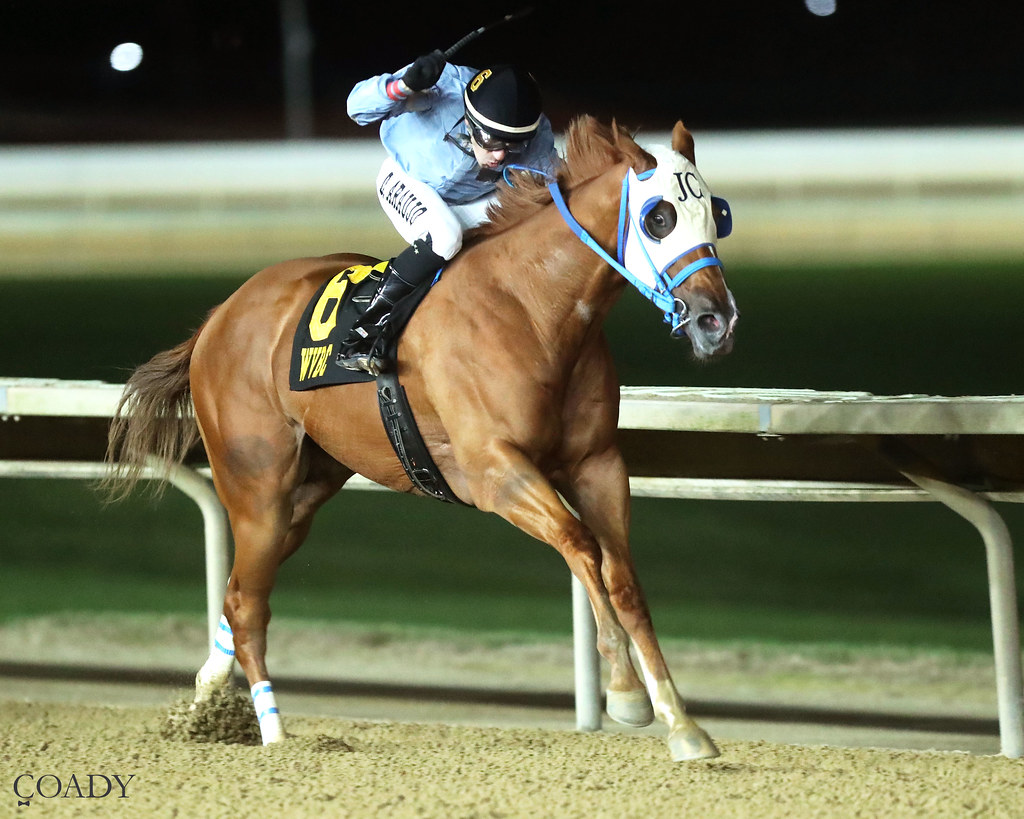 WVBC juvenile races showcase future