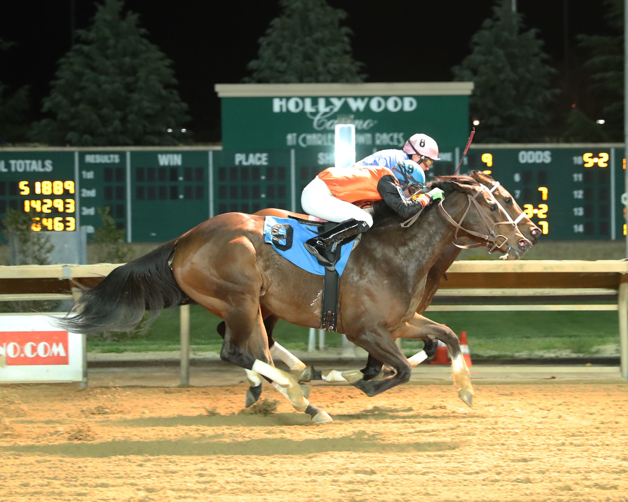 Maggie’s Girl wins Fancy Buckles